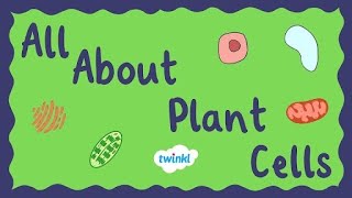 All About Plant Cells for Kids  Middle School Science  Twinkl USA [upl. by Mathi993]