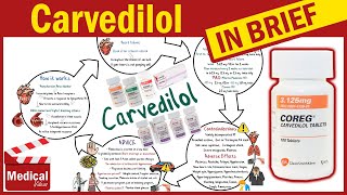 Carvedilol  Coreg  What is Carvedilol Used For Dosage Side Effects amp Precautions [upl. by Jaehne]