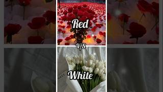 Red vs White redvswhite chooseyourgift viralvideo trending shorts shortvideo subscribe [upl. by Marsiella]