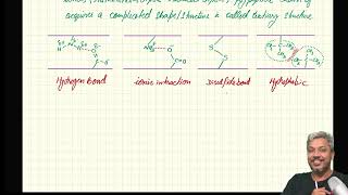 A2 Organic Amino AcidZwitterionElectrophoresis lecture 2 [upl. by Matthaeus]