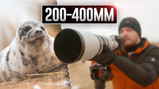 Canon EF 200400mm f4L IS USM Lens  In Depth Review [upl. by Na552]