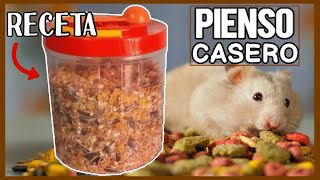 PIENSO CASERO para HAMSTER 🐹 COMIDA para HAMSTERS [upl. by Enelav316]