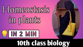 Homeostasis in plants  Class 10 Biology [upl. by Ambrosius]