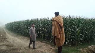 Very Interesting video  Rana ny Abid ko Kam py bolaya  Abid ko favor ho gaya  Rana Ashraf [upl. by Salkin609]