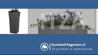 Regenton Itza 300 liter met plantzone  Kunststof regentonnl [upl. by Rolyat750]