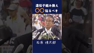 【遺伝子組み換え〇〇貼るべき】 「『TPPの影響』政治 石原慎太郎 都知事 警告 政治家 安全保障 政治 添加物 [upl. by Ahsienaj]