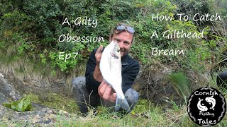 How To Catch Gilthead Bream  A Gilty Obsession EP7  Cornwall Fishing [upl. by Roseline776]