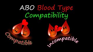 ABO Blood group Compatibility Love is in the air [upl. by Agan]