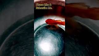 Nishan DN  MY GOLDFISH  red goldfish  shorts video  🐟like amp subscribe me [upl. by Ewold]