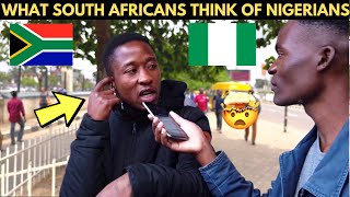 🇿🇦🇳🇬What South Africans Think of Nigerians amp Nigeria was Unexpected😯😳 [upl. by Hildegaard]