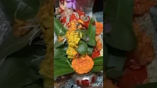 Laxmi Puja lunch dinner ki khabar  subscribe somasvlog viralminivlog [upl. by Cointon]