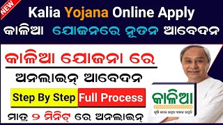 Kalia Yojana Online Apply 2024  Kalia Yojana Online Registration  Kallia Yojana New Apply [upl. by Refinne831]