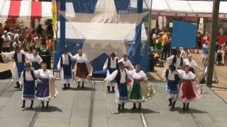 Texas Folklife Festival 2010 Part 2 [upl. by Otreblif785]