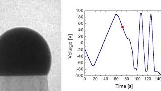 In situ TEM Stretching a nanowire catalyst with an electric field [upl. by Ynohtnaluap422]