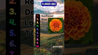 Can you name these Flowers flowers quiz trivia shorts [upl. by Kazimir]