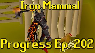 The New Best Weapon in OSRS  Iron Mammal Progress 202 [upl. by Ram]