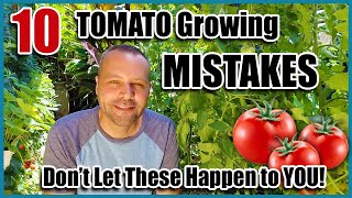 Tomato Growing Mistakes  How to Avoid or Fix ThemHow to Grow Tomatoes [upl. by Lishe837]