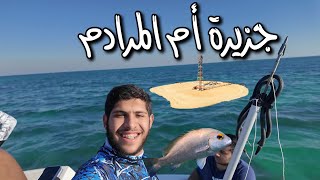 غوصه في جزيرة أم المرادم فري دايف صيد سمك على كيف كيفك Spearfishing [upl. by Moclam]