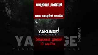 රචකයාගේ ඉරණම 10  sinhala holman katha සිංහල holman හොල්මන් horror horrorfan horrormovie [upl. by Rekcut]