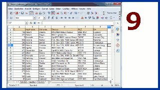 09 OpenOffice Base Daten nach Calc exportieren [upl. by Atinej]