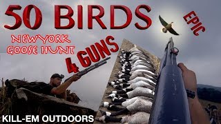 50 Honkers Die Over A Cut Corn Field In WNY With Only 4 GUNS [upl. by Tate254]