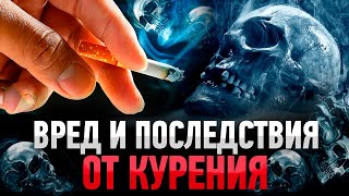 ВРЕД КУРЕНИЯ Последствия Отказа от Курения [upl. by Latsyek]