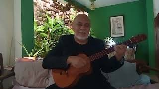 Mi Cuatro Romántico  Joropo de Moisés Moleiro instrumental [upl. by Hester]