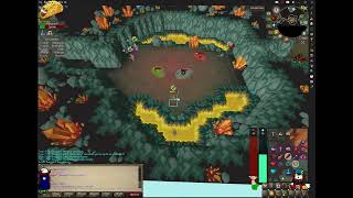 stream osrs some chambies rn [upl. by Ahtael578]