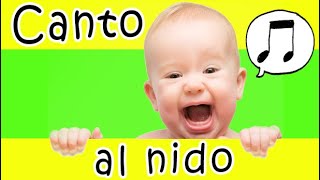 🎤Cantare al Nido👶  quattro canzoni per bambini  fare musica a scuola [upl. by Rennoc354]