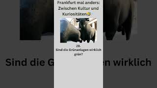 😂 Frankfurt Lachflash 30 Lustige Fragen und Antworten 🌆 [upl. by Paradies764]