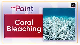 Coral Bleaching  To The Point  Drishti IAS English [upl. by Hannaj]