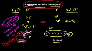 Solubilidad de compuestos orgánicos [upl. by Eirovi871]