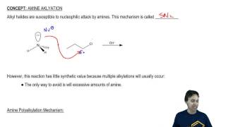 Amine Alkylation General Reaction [upl. by Elleniad]