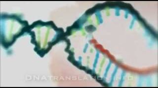 Protein synthesis DNA transcription translation and folding [upl. by Spearing607]