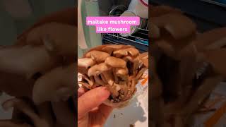 maitake mushroom 🍄 like flowers style [upl. by Eeral]