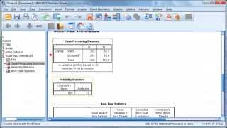 IBM SPSS Statistics 20 Cronbachs Alpha [upl. by Dysart4]