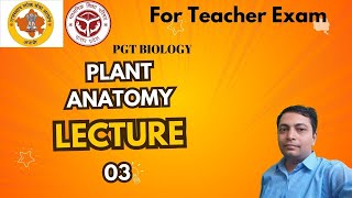 3 PLANT ANATOMY LECTURE  03 FOR PGT BIOLOGY EXAMS [upl. by Golub]