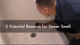 Why Do I Have a Sewer Smell in My Bathroom 3 Potential Reasons Seattle Best Plumbing 2066331700 [upl. by Savage]