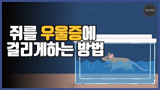 학습된 무기력과 긍정심리학  포솔트 강제 수영실험 [upl. by Esyli]