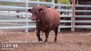 Lot 86 DRENSMAINE L 253 P [upl. by Hareemas]