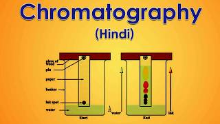 Chromatography 15 Hindi [upl. by Jopa]