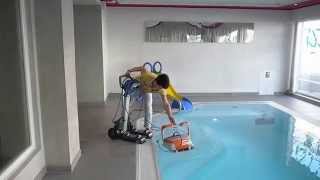 Der Poolroboter Dolphin in Aktion  So funktioniert unser Poolsauger [upl. by Ainsworth]