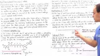 PostTranscriptional Modifications of mRNA [upl. by Noevad]