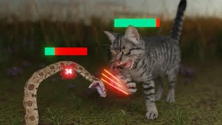 How Cats Broke The Game [upl. by Rinaldo132]