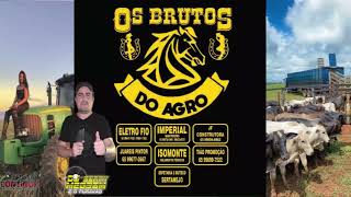 CD Comitiva Os Bruto Do Agro  2023  DJ SONNY MEGSOM [upl. by Maro]