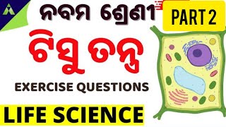 Tissue system 9 class odia medium [upl. by Ehcor]