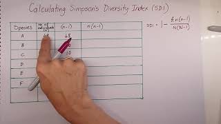 Calculating Simpsons Diversity Index [upl. by Ahens]