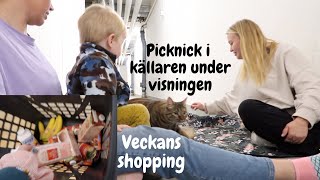 Veckans Shopping  Visning Av Lägenheten [upl. by Analah214]