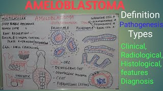 Ameloblastoma Types Clinical Features Diagnosis Differentials and Management [upl. by Taima]