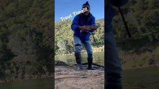 Nice Trout Lake Del Valle short shortvideo fishing trout troutfishing ultralight [upl. by Aurilia]